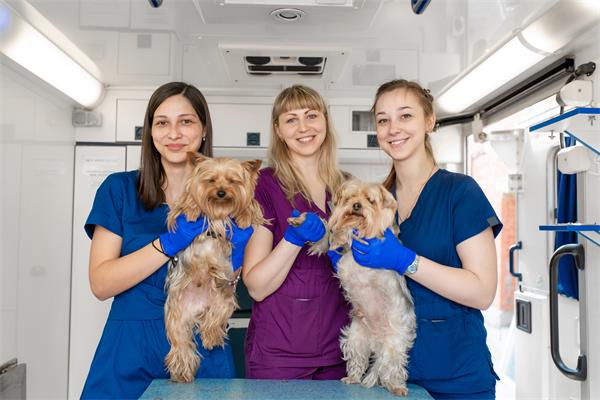 Veterinary Team with Dogs